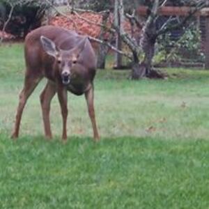 theresa_herstad avatar