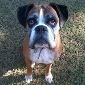 mrs_hill_13_10_95 avatar