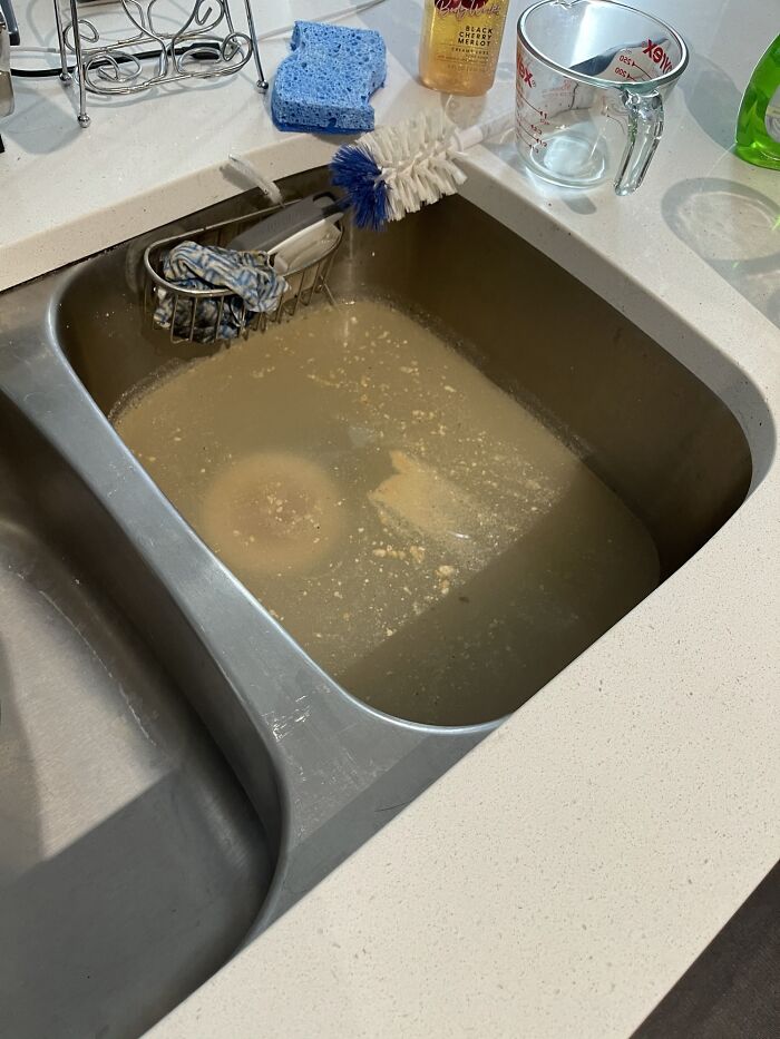 My Apartment Building Has Had Plumbing Issues Since Friday, Plumbers Said It Won’t Be Fixed Till Monday. Keep Having To Scoop Water From The Sink And Dump Into Toilet. Smells Like Death Too