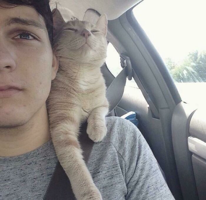My Cat Trunks Loves Car Rides Ever Since The Ride Home From Adoption!