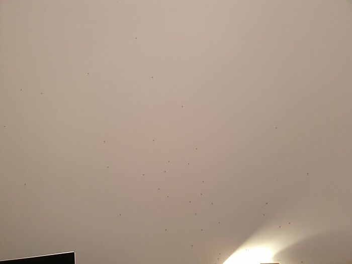 "Time To Go To Bed! Huh...what Are Those Dots On My Wall? Oh. Oh No"