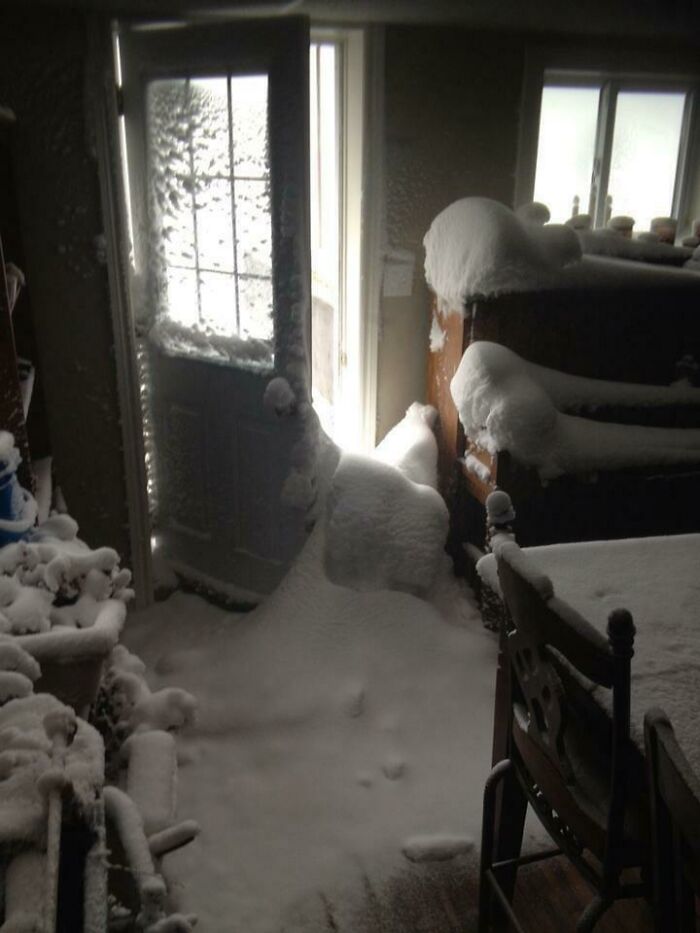 Make Sure You Check That Your Door Is Closed When A Blizzard Hits Overnight