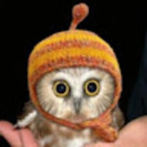 sharonrosenberg avatar