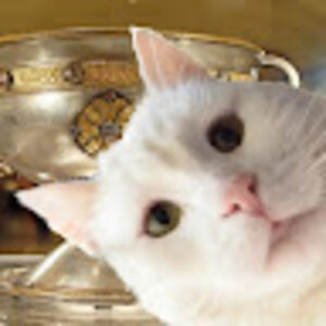 chalkychoochoo avatar