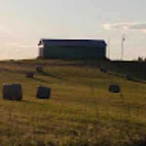 ainsleymongraw avatar