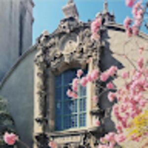 oliviamartin_4 avatar