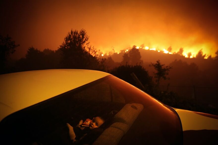 Forest Fire. Gold, Editorial/General News