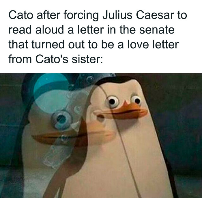 Cato Was Not Expecting That. More Context In The Comments