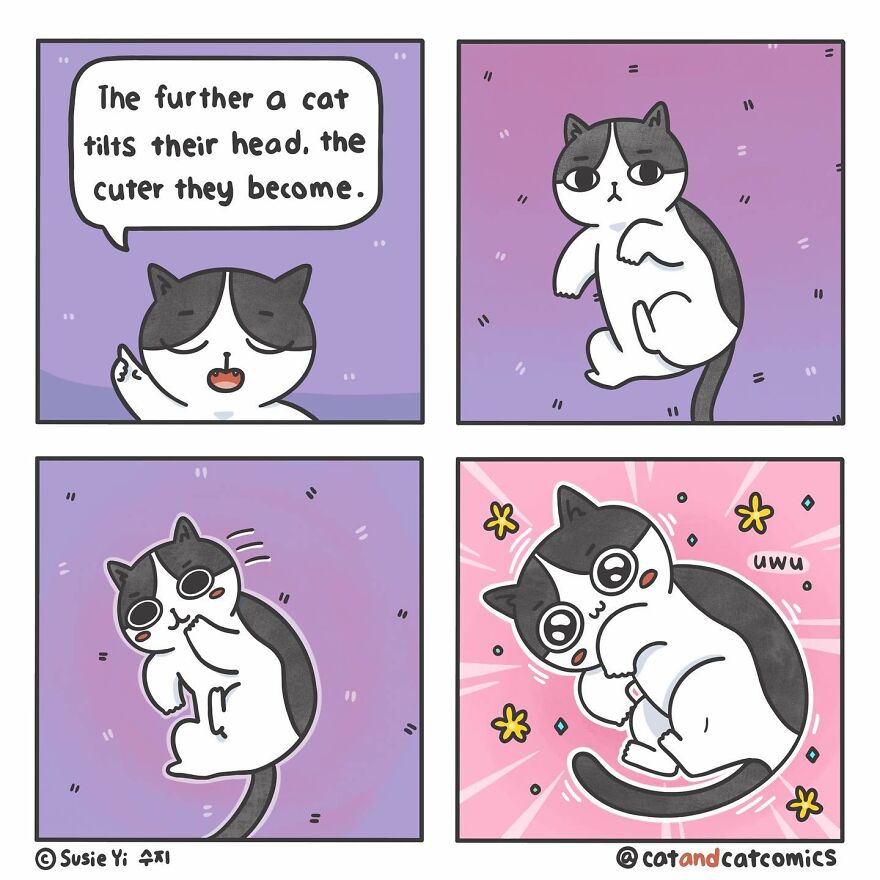 My 23 Wholesome Comics About A Cat And His Human