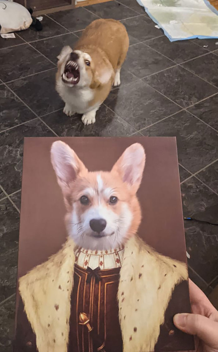 Cheeto Disapproves Of The Portrait We Were Gifted Of Him