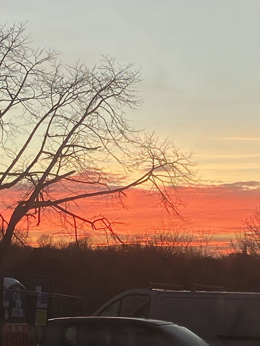 Hey Pandas, Can You Give Me Some Advice? Hey Pandas, Can You Give Me Some Advice?