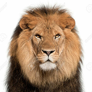 christian-bassompierre0688 avatar