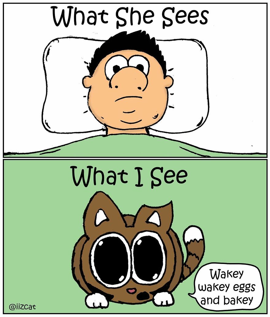 Artist Sums Up Life With A Cat In 30 Comics (New Pics)