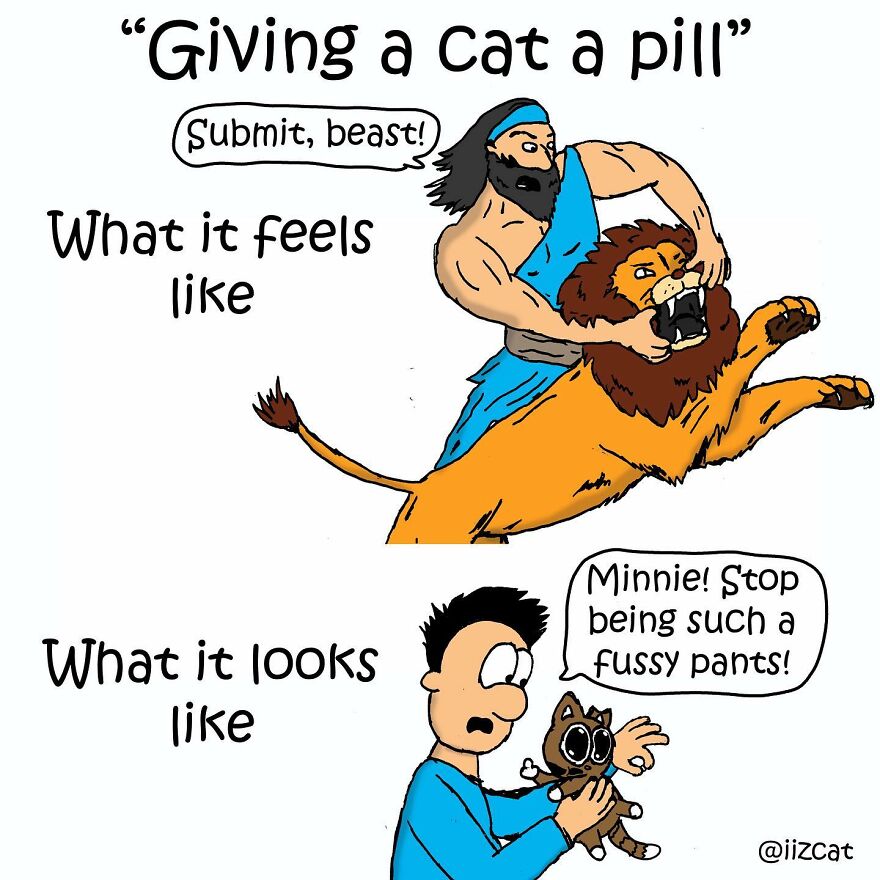 Artist Sums Up Life With A Cat In 30 Comics (New Pics)