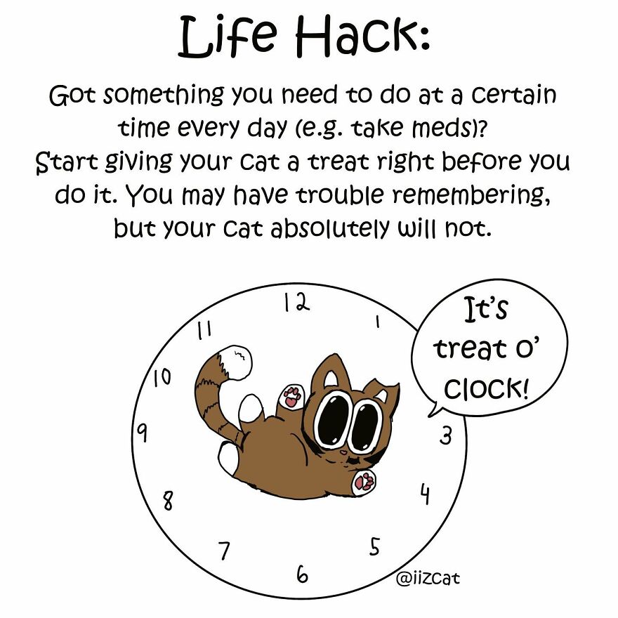 Artist Sums Up Life With A Cat In 30 Comics (New Pics)