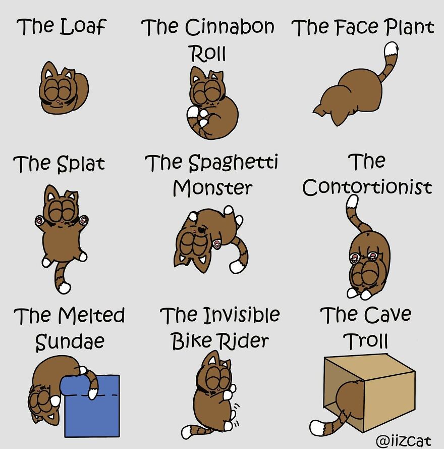 Artist Sums Up Life With A Cat In 30 Comics (New Pics)