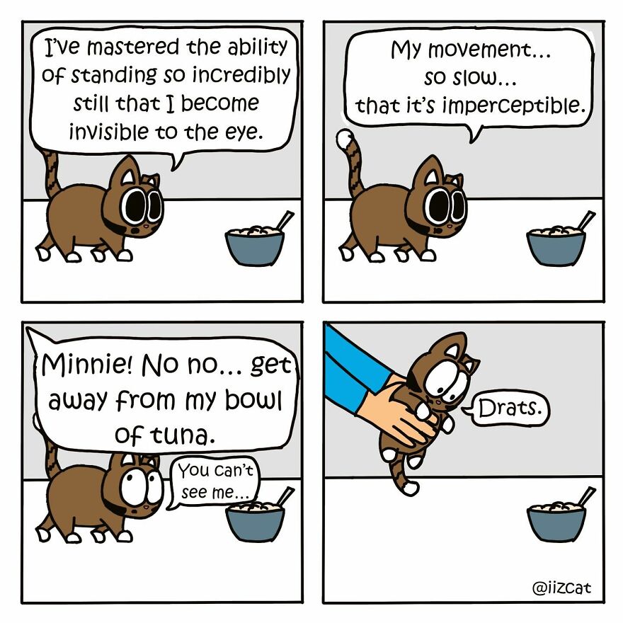 Artist Sums Up Life With A Cat In 30 Comics (New Pics)