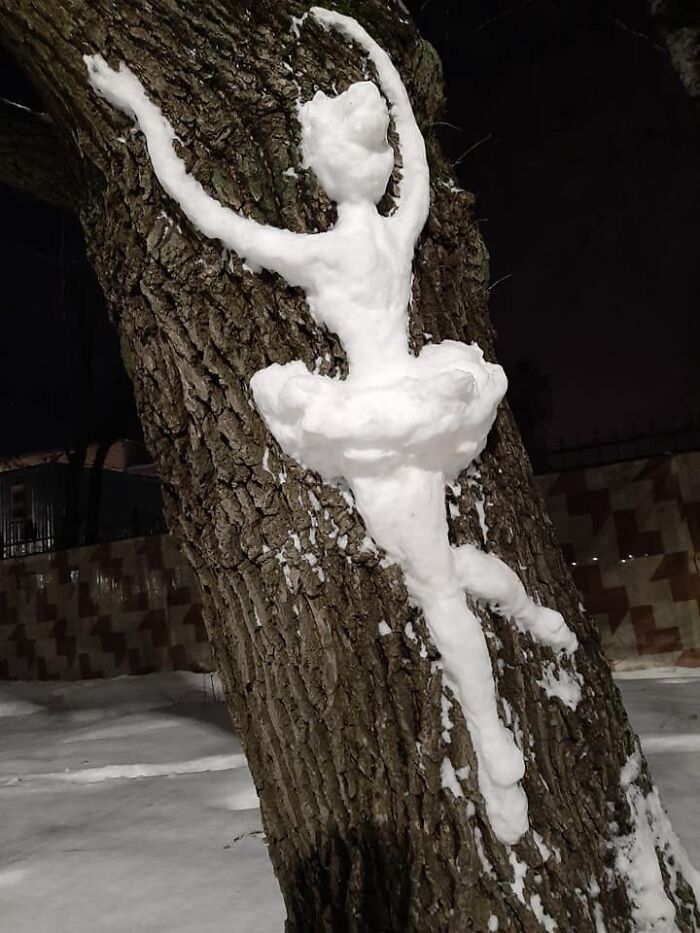 Artist Makes Incredible Snow Sculptures On Tree Trunks
