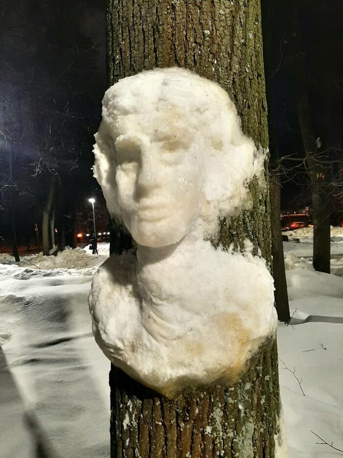 Artist Makes Incredible Snow Sculptures On Tree Trunks
