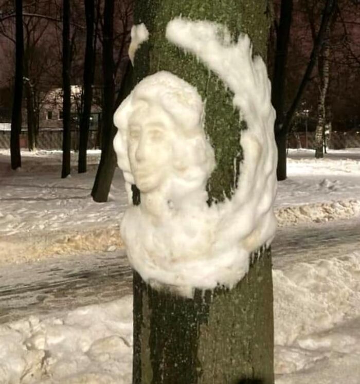 Artist Makes Incredible Snow Sculptures On Tree Trunks