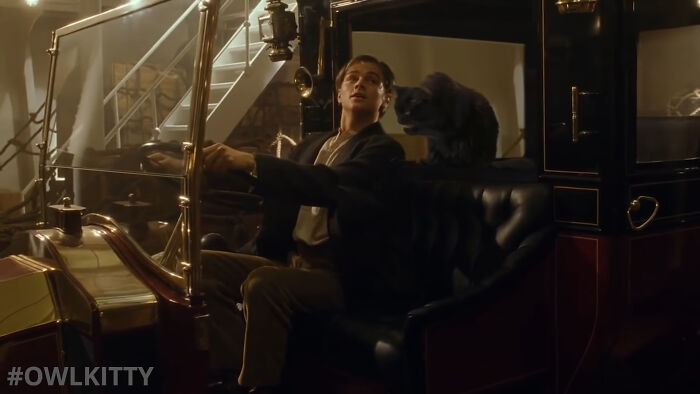 This Guy Improved "Titanic" By Editing His Cat Into It And The Result Is Hilarious This Guy Improved "Titanic" By Editing His Cat Into It And The Result Is Hilarious