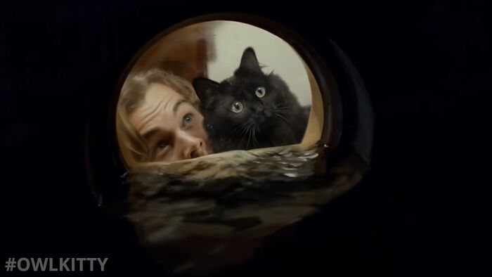 This Guy Improved "Titanic" By Editing His Cat Into It And The Result Is Hilarious This Guy Improved "Titanic" By Editing His Cat Into It And The Result Is Hilarious