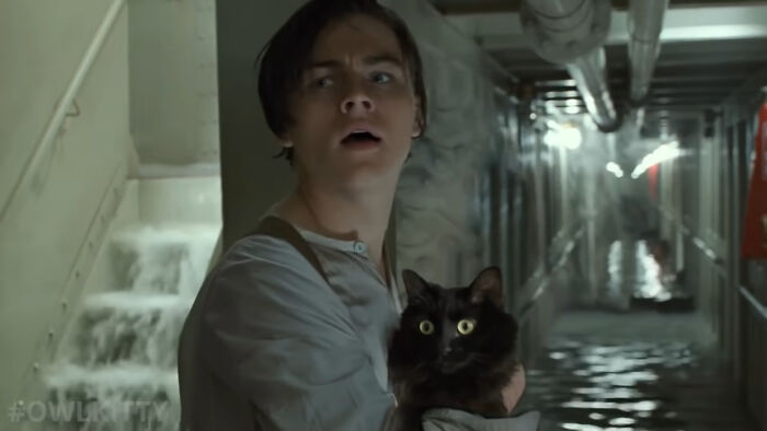 This Guy Improved "Titanic" By Editing His Cat Into It And The Result Is Hilarious This Guy Improved "Titanic" By Editing His Cat Into It And The Result Is Hilarious