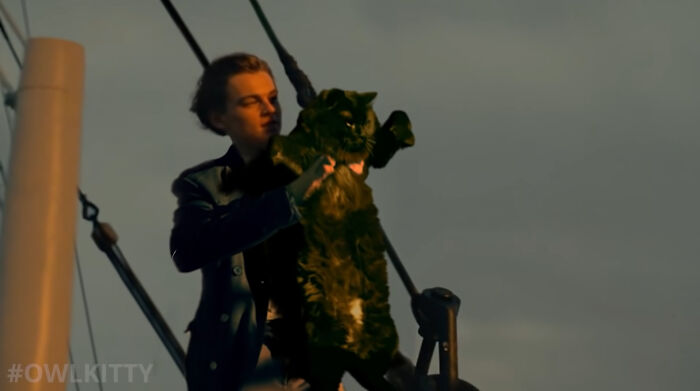 This Guy Improved "Titanic" By Editing His Cat Into It And The Result Is Hilarious This Guy Improved "Titanic" By Editing His Cat Into It And The Result Is Hilarious