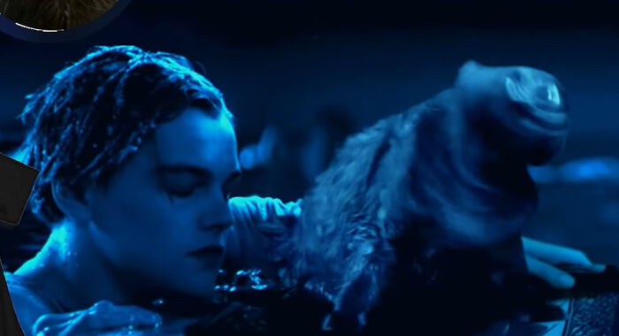 This Guy Improved "Titanic" By Editing His Cat Into It And The Result Is Hilarious This Guy Improved "Titanic" By Editing His Cat Into It And The Result Is Hilarious