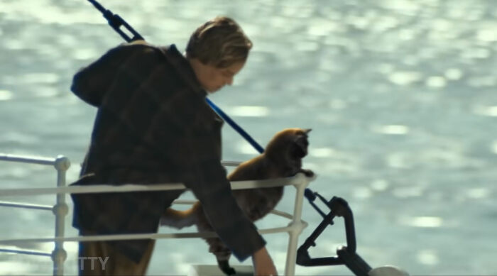 This Guy Improved "Titanic" By Editing His Cat Into It And The Result Is Hilarious This Guy Improved "Titanic" By Editing His Cat Into It And The Result Is Hilarious