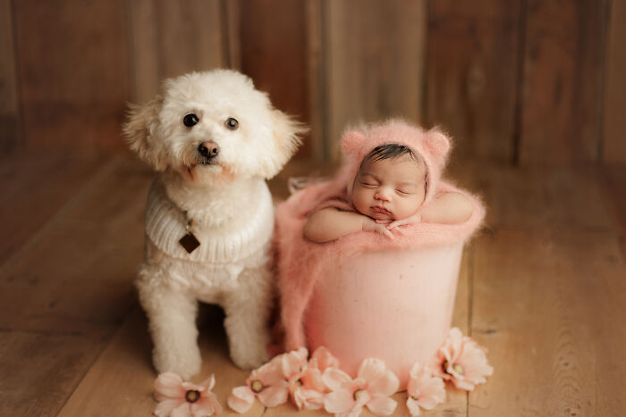 I Photograph Families And Their Dogs