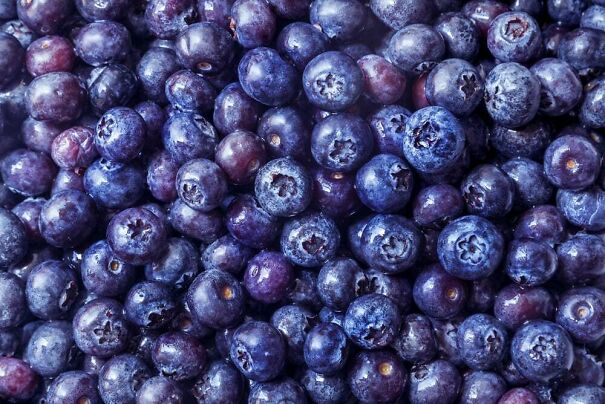 Blueberries-62193fb1b0b5c-jpeg.jpg