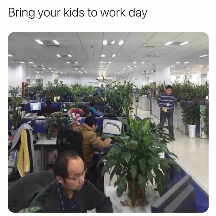 Alternative Text: “ When Your Boss Finds Out Plants Boost Productivity.” Where My Planty Parents At? @planty_hoes
-
-
-
follow @worst.designer For More Design No No’s.
-
-
-
#office #officelife #plants #plantmemes #officeplants #work #worklife #workmeme