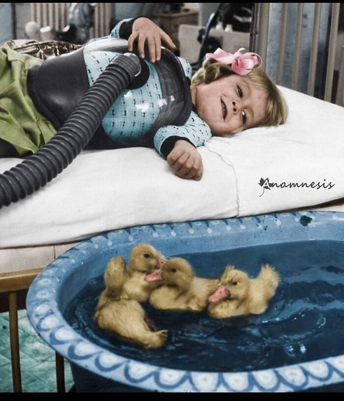 Peggy Kennedy, una niña de tres años con poliomielitis, les sonríe a los patos terapéuticos junto a su cama, 1956