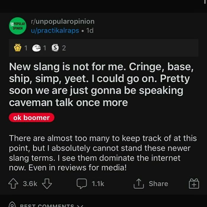 What Are Your Thoughts On New Slang ?