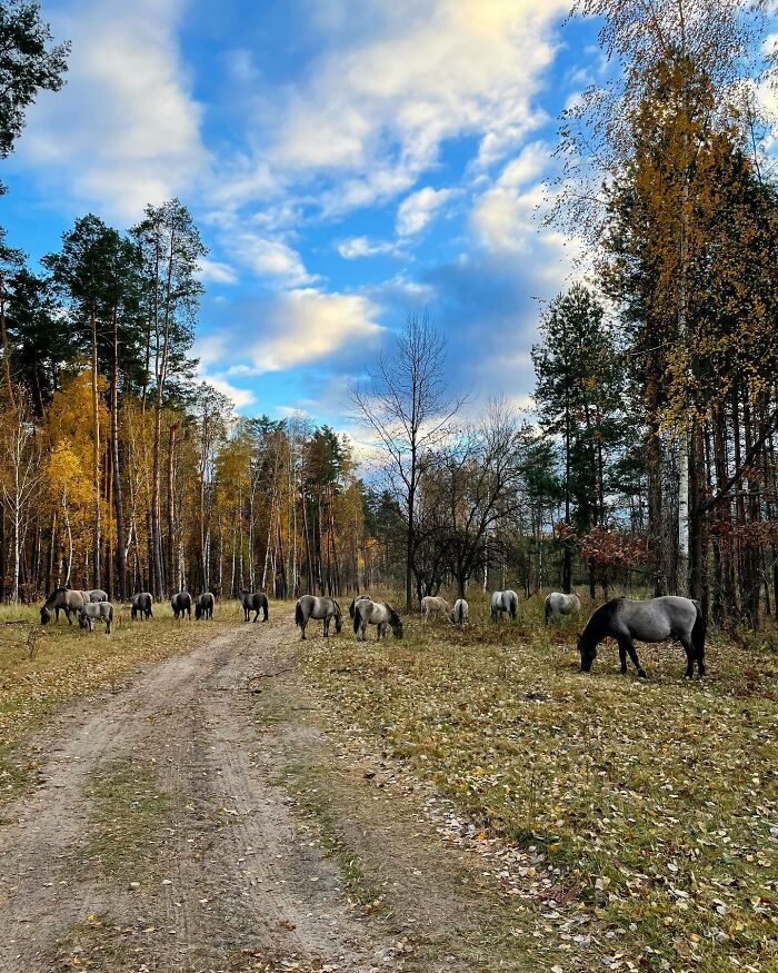 Beremytske Nature Park In Ukraine