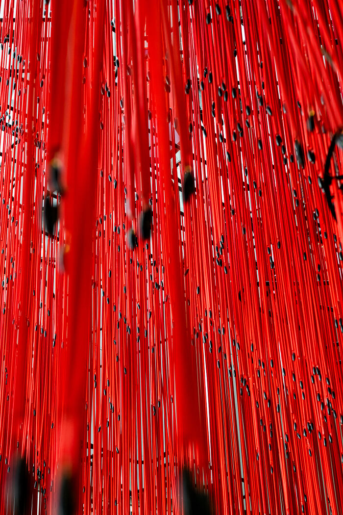 "Memory Veil": 10,000 Strands Of Red String Beads Art Installation (20 Pics)