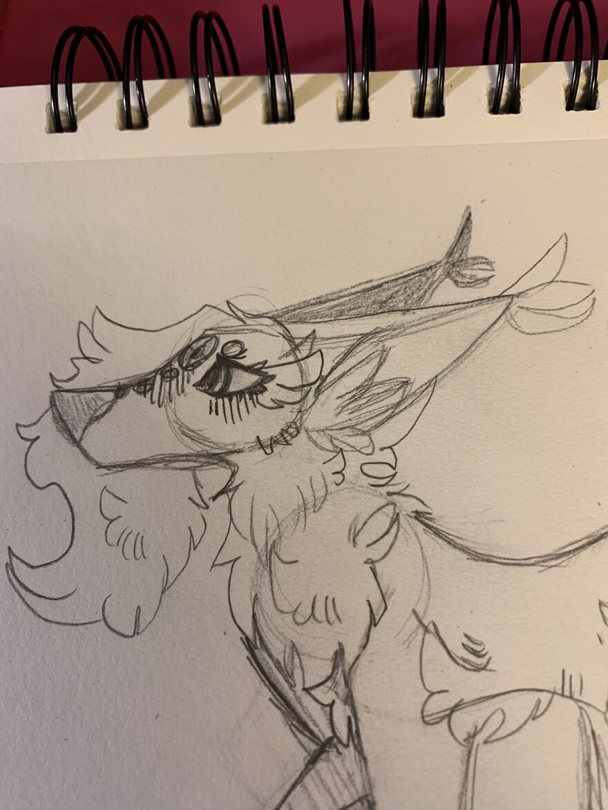 I Drew All Of These Over The Past Year Of 2022 And 2021! I’m Only 11, Improvements!