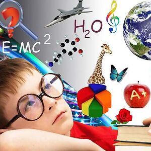 Mushtaq Ahmed Muhammad Usman