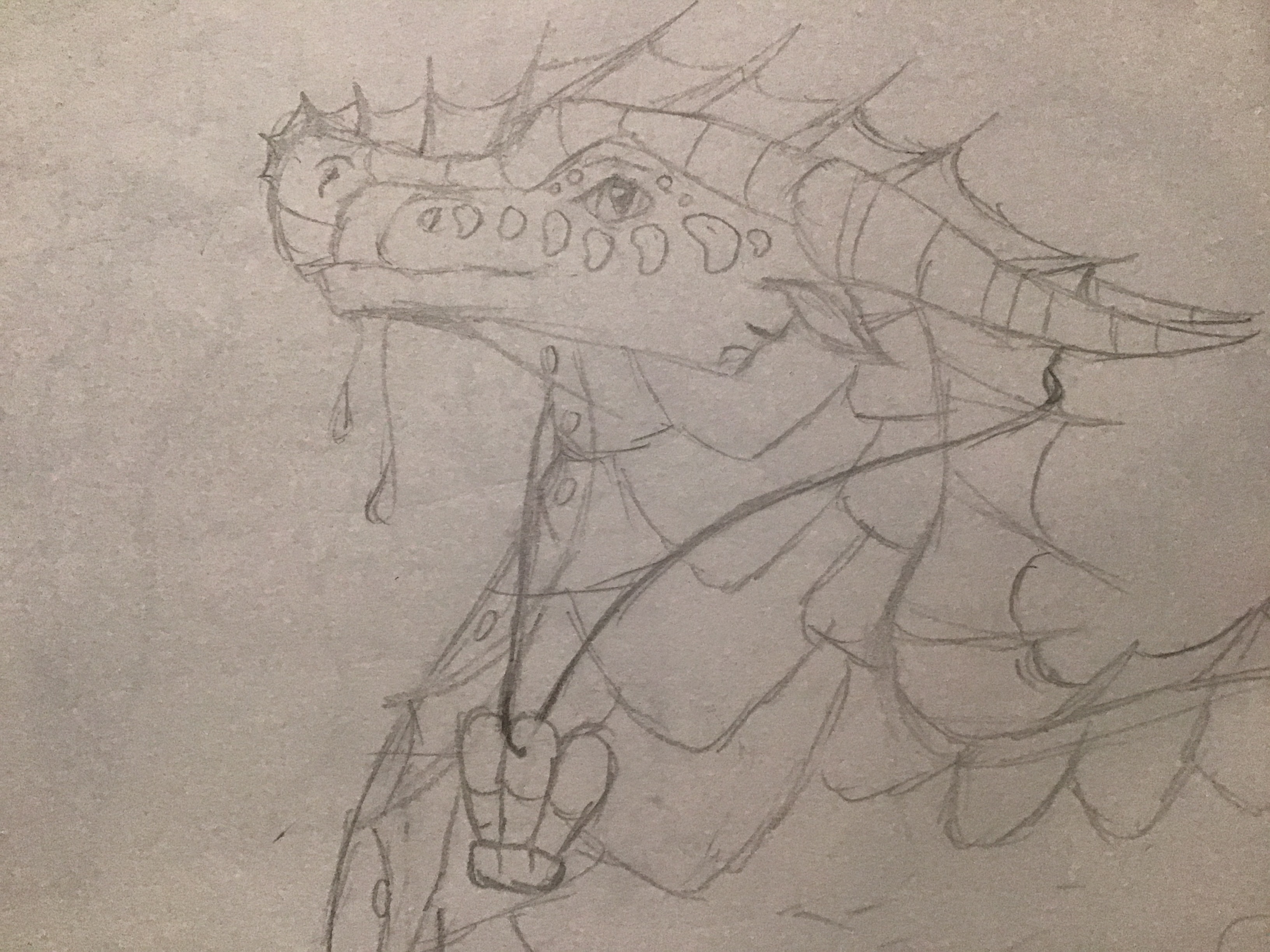 Hey Wof Fans, Share Your Wings Of Fire Drawings