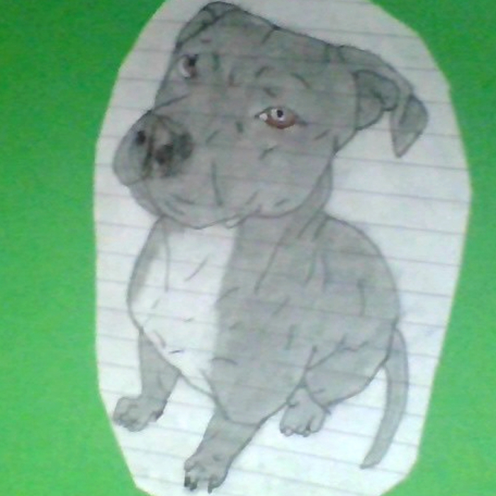 This Is My Dog And His Name Is Buck