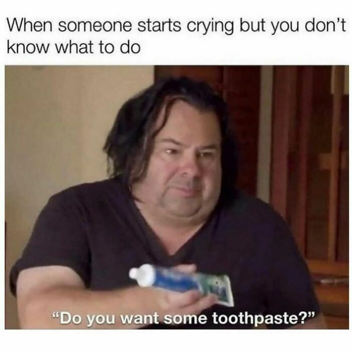 Hey Pandas, Whats The Best Meme In Your Photo Library?