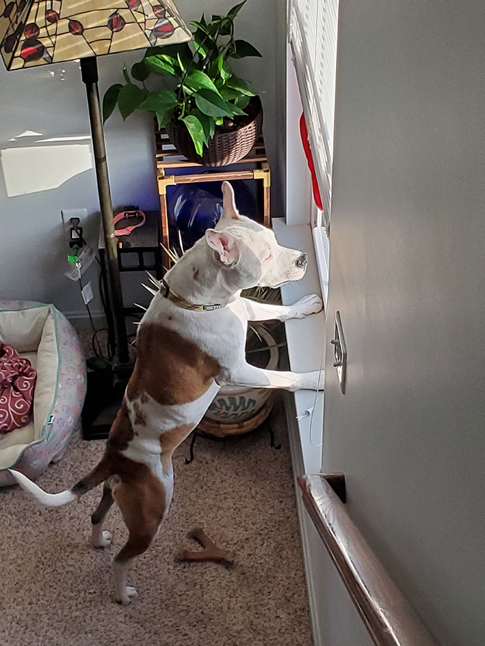 Hey Kids, Get Off My Lawn