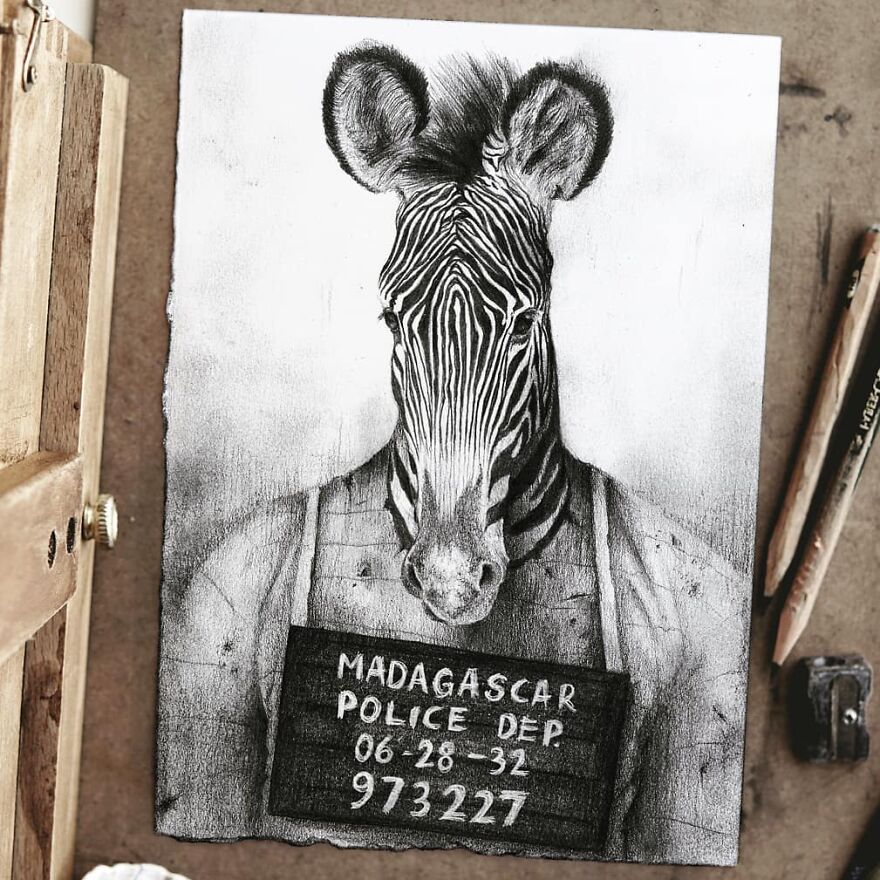 Zebra Of Madagascar
