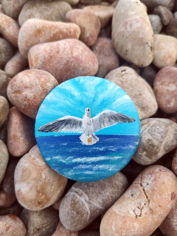 The Brooch "Flying Seagull" On The Wet Pebbles