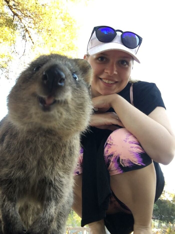 Happy 2019....when Travelling Was Easy