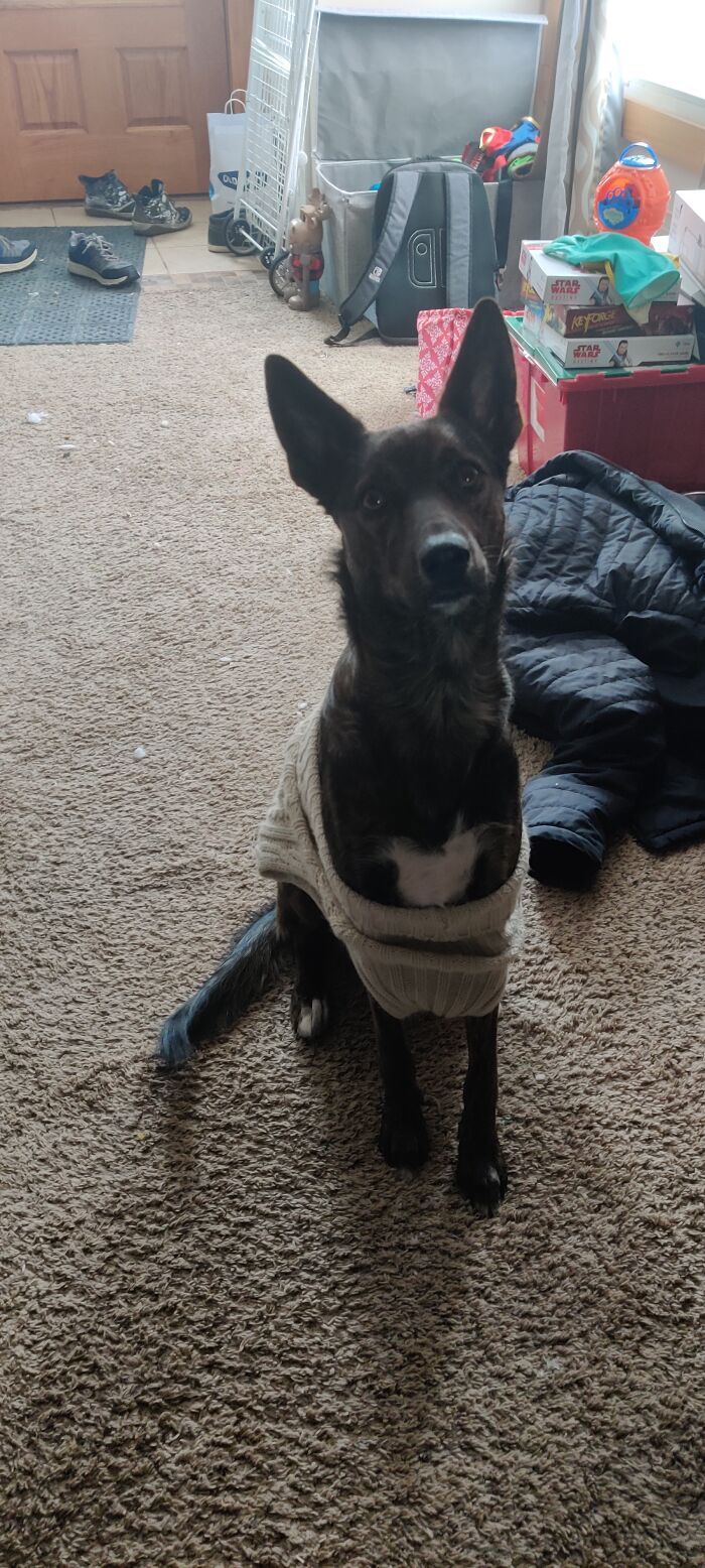 Isabelle Sitting So Nicely In Her Off The Shoulders Sweater