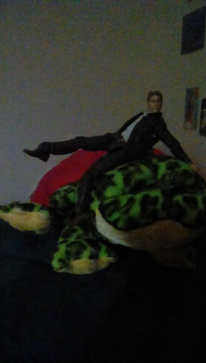 Han Solo Is My Hero. And Yes, He Is Sitting On A Frog