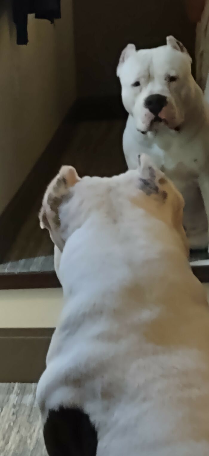 Look Mom, Isn't He Handsome?