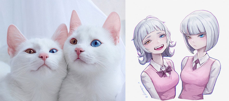 White Cats With Heterochromia